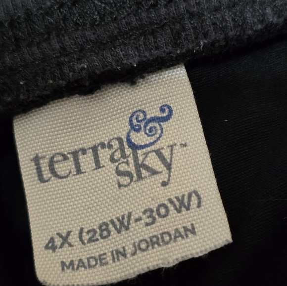 Terra & Sky Black Shorts, Plus 4 - Picture 3 of 3